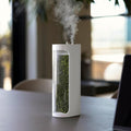 Moss Air – Living Moss Terrarium Humidifier | Soothing Mist Fountain & Ambient by mosslab