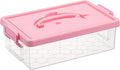 BTSKY 1-Pack Clear Plastic Storage Box by BTSKY