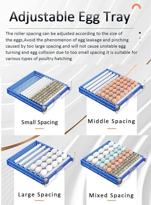 Eggs Incubator for Hatching Eggs, Automatic Egg Turning and Humidity Control - Image 7