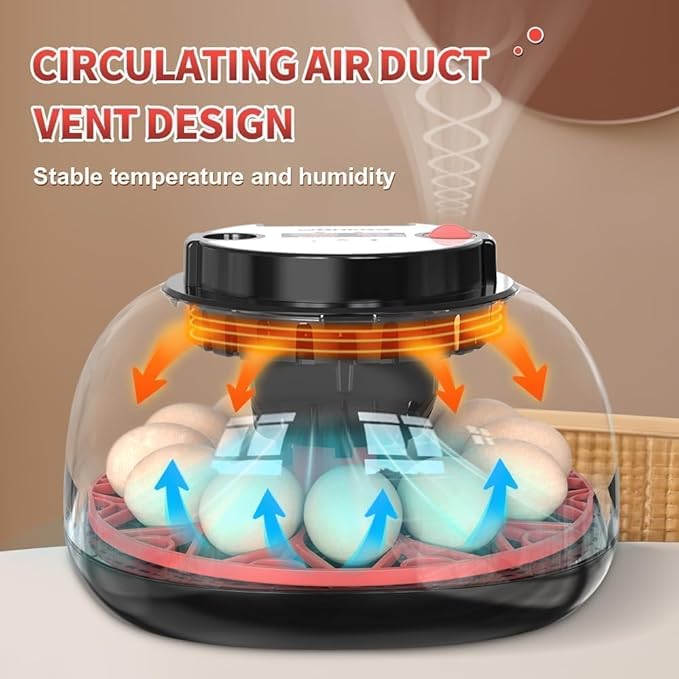 Explore+ 12 Egg Incubator for Beginners, Auto Egg Turning, Real-Time Display - Image 5