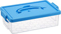 BTSKY 1-Pack Clear Plastic Storage Box by BTSKY