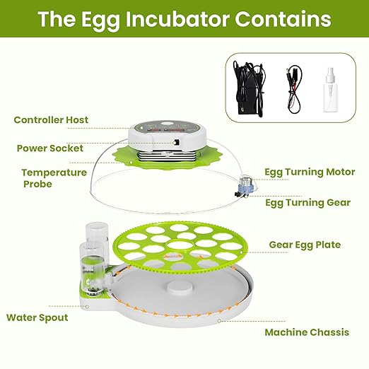 18-Egg Incubator incubators for Hatching Eggs - Image 8