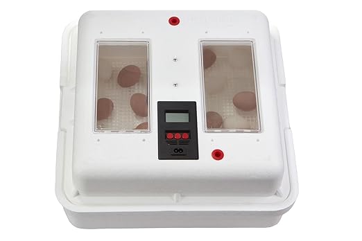Little Giant® Digital Still Air Incubator | 41 Egg Capacity | Chick Egg - Image 3
