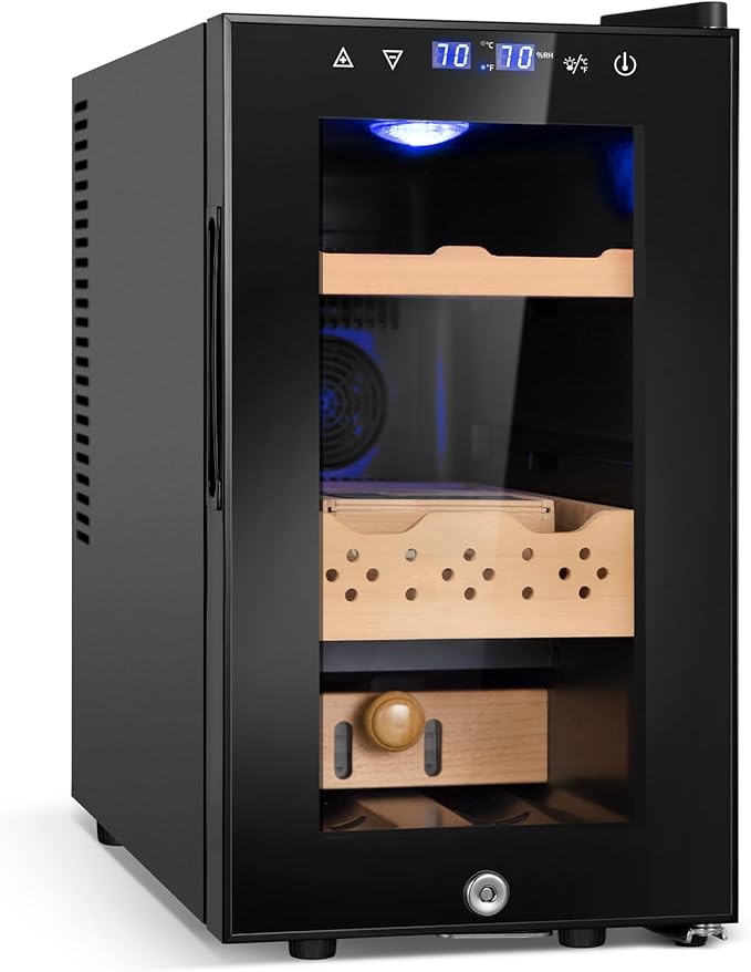 Electric Cooler Cabinet 25L by FoMup