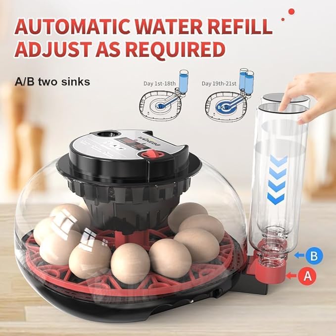 Explore+ 12 Egg Incubator for Beginners, Auto Egg Turning, Real-Time Display - Image 3