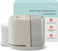 Canopy Bedside Humidifier 2.0, Moonstruck, 36 HR Run Time, 2.5L Capacity by Canopy