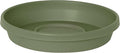Bloem Terra Resin Saucer Tray: 8" Bottom Width by Bloem