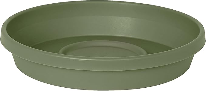 Bloem Terra Resin Saucer Tray: 8" Bottom Width by Bloem