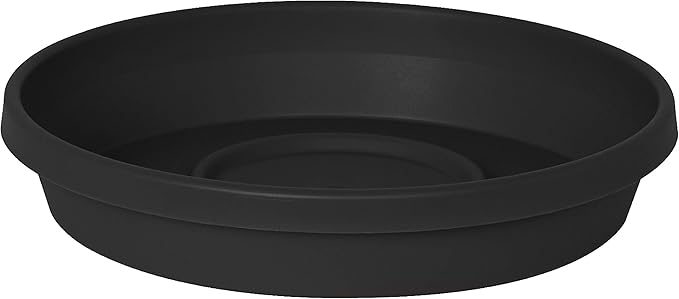 Bloem Terra Resin Saucer Tray: 8" Bottom Width by Bloem
