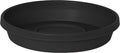 Bloem Terra Resin Saucer Tray: 9.25" Bottom Width by Bloem