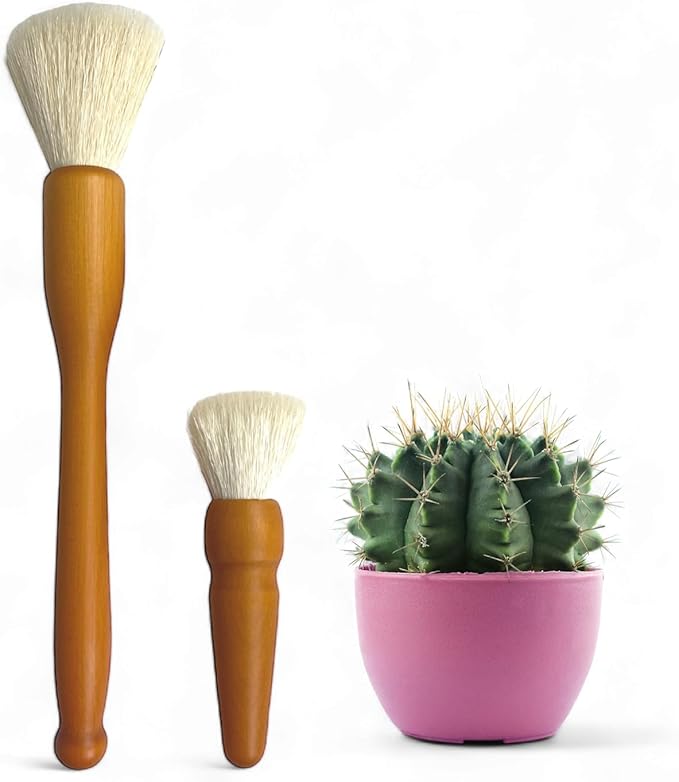 Southside Plant Cactus & Succulent Plants Cleaning Brushes by SouthsidePlants