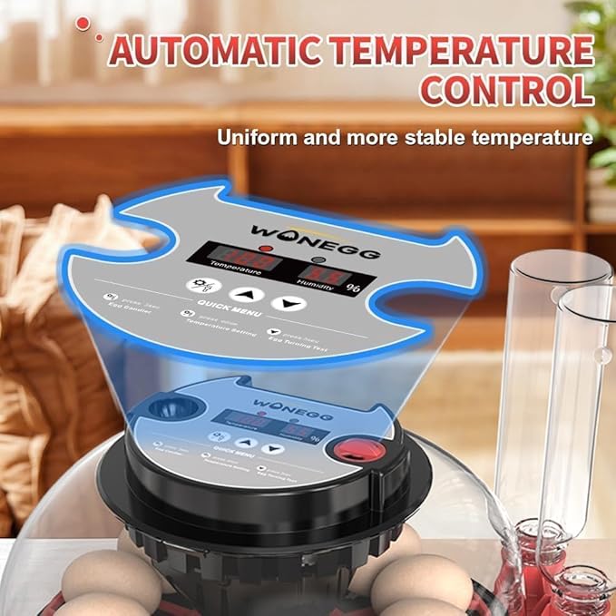 Explore+ 12 Egg Incubator for Beginners, Auto Egg Turning, Real-Time Display - Image 2