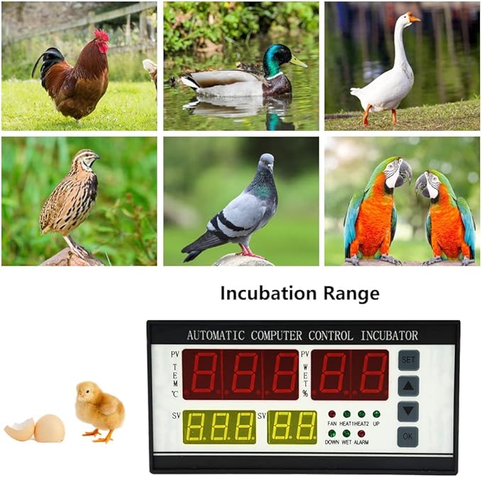 Automatic Control System for Egg Incubator Machine and Temperature and Humidity - Image 6