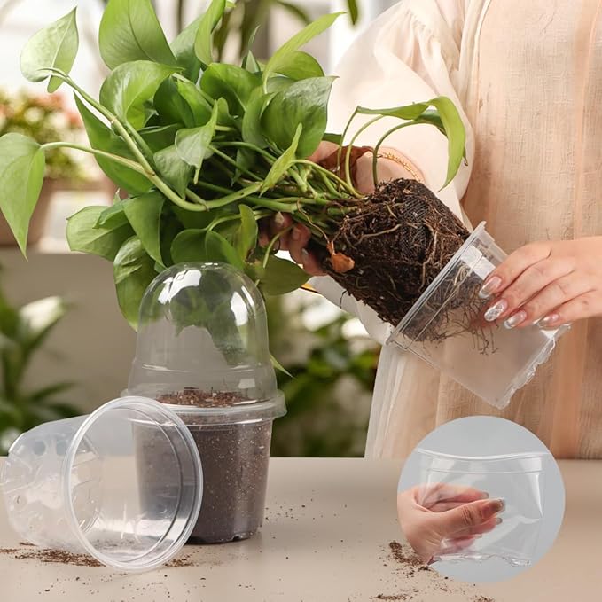 Transparent Nursery Pots 4Inch - Image 6