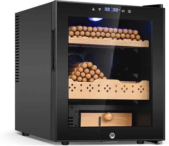 Electric Cooler Cabinet 50L by FoMup