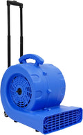 1HP Air Mover, 6-Hours Timer Carpet Dryer, Floor Drying Fan by WENBINGSHOP