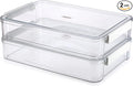 BTSKY 2 Pack Plastic Storage Containers by BTSKY