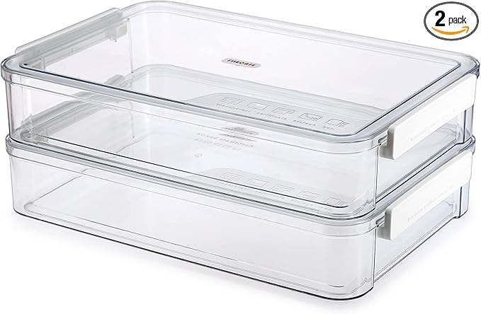 BTSKY 2 Pack Plastic Storage Containers by BTSKY