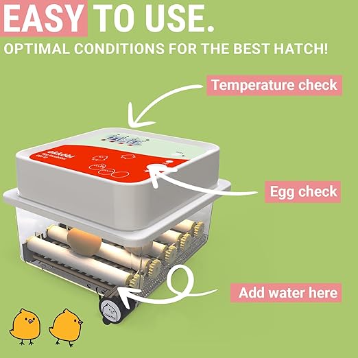 Incubators for Hatching Eggs - Image 3