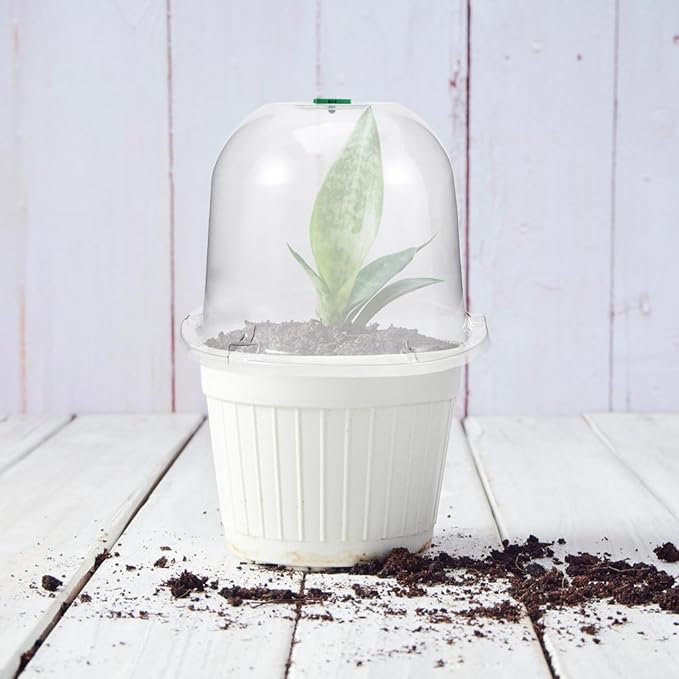 Mikikit Garden Cloche Dome Seedling Cover Plant Humidity Dome Nursery Protector - Image 7