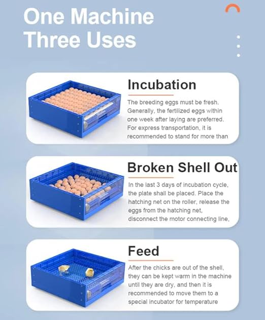 Eggs Incubator for Hatching Eggs, Automatic Egg Turning and Humidity Control - Image 6