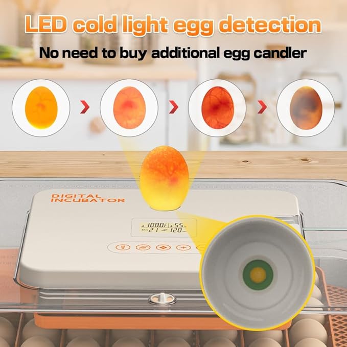 Automatic 56-Egg Incubator for Breeders, Sensor-Based Precise Humidity & Temp - Image 5
