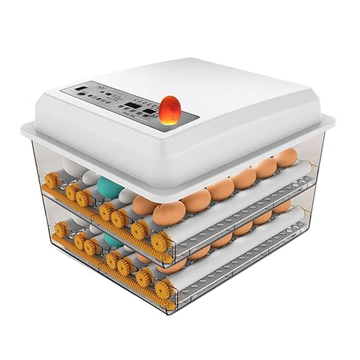 Egg Incubator, Egg Incubator by HKDQ