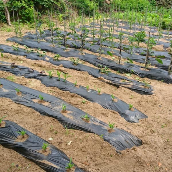 Vapor Barrier Supply -Black Plastic Sheeting - Image 2