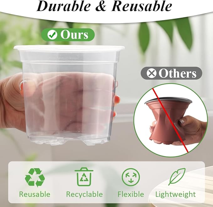Transparent Nursery Pots 4Inch - Image 4