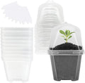 EBaokuup 10Pcs 4" Clear Plant Nursery Pots by EBaokuup