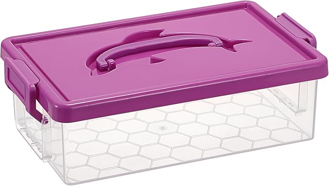 BTSKY 1-Pack Clear Plastic Storage Box by BTSKY