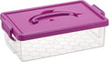BTSKY 1-Pack Clear Plastic Storage Box by BTSKY