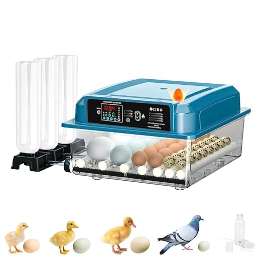 Incubators for Hatching Eggs, 36 Egg Incubator, Automatic Egg Turning, by Unknown