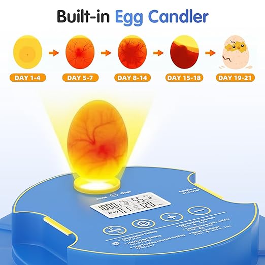 Chicken Egg Incubators for Hatching Eggs, 18 Egg Incubator - Image 6