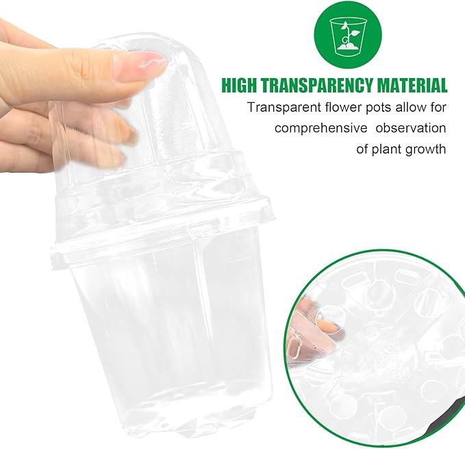 Transparent Nursery Pots 3.5Inch - Image 3