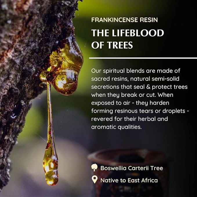 Frankincense Incense Bricks & Tree of Life Exotic Burner by Aromafume | 2 Trays - Image 6