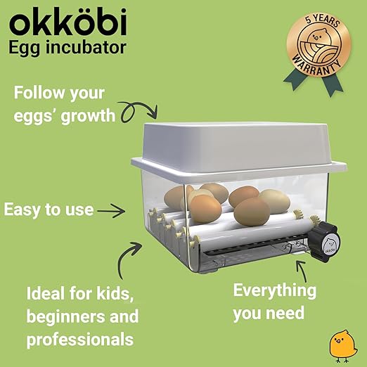 Incubators for Hatching Eggs - Image 2