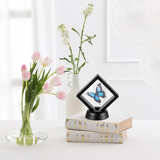 4PCS Quarter Display Case, Floating Display Case - Image 5