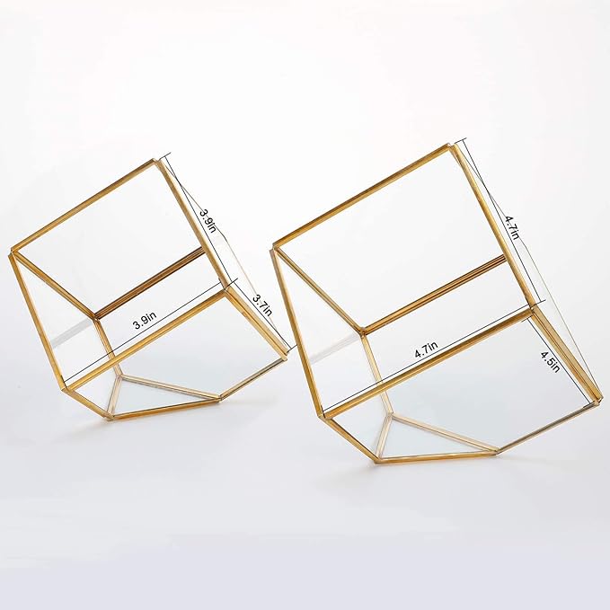 ELEGANTLIFE Glass Geometric Plant Terrarium, Succulent & Air Planter - Image 2