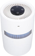 2 in 1 Air Purifier and Humidifier, 5W 4L Water Tank Quiet Humidifier, USB by Fockety