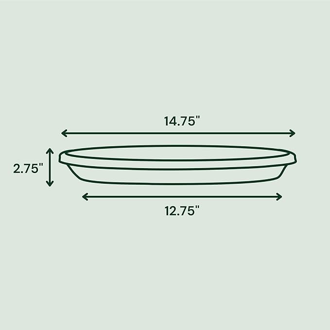 Bloem Terra Resin Saucer Tray: 12.75" Bottom Width - Image 3
