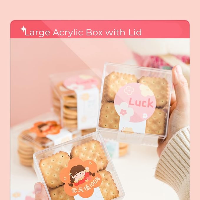 Large Acrylic Box with Lid 4 Pieces Clear Display Box Plastic Square Cube - Image 3