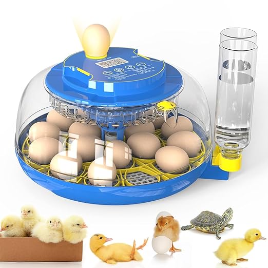 incubators for hatching eggs，18 Egg Incubator, egg incubator by WONEGG