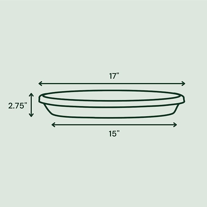 Bloem Terra Resin Saucer Tray: 15" Bottom Width - Image 3