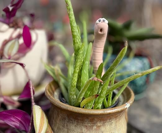 Cute Ceramic Soil Moisture Indicator - Image 7