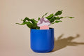 Biodegradable Soil Moisture Meter, Visual Reminder to Water Your Indoor Plants by Unknown