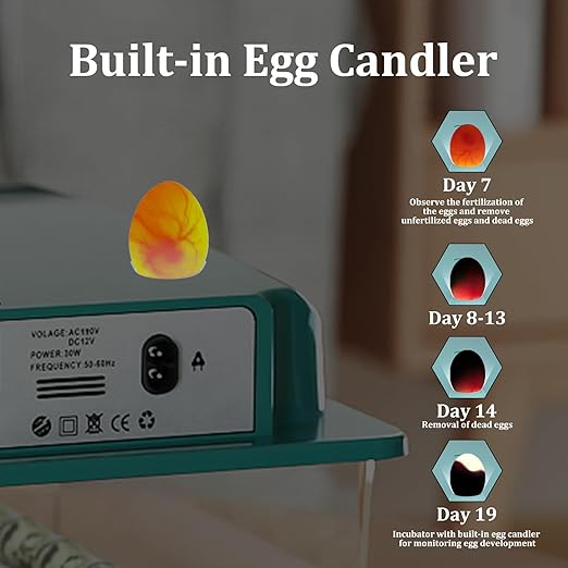 Incubators for Hatching 16 Eggs, Egg Incubator - Image 6