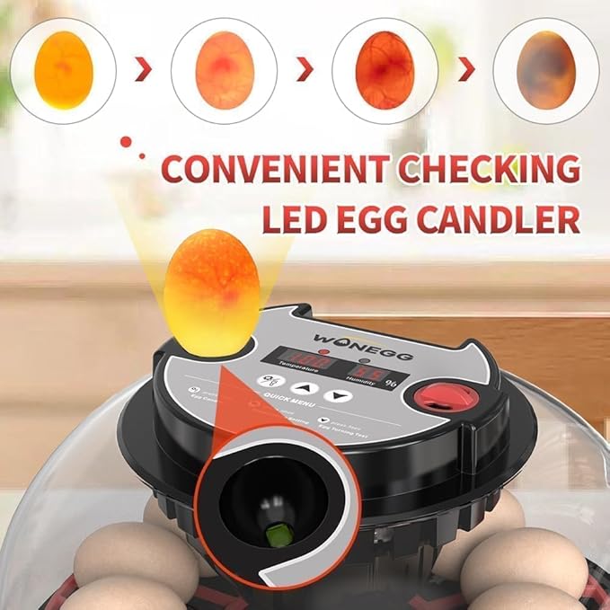 Explore+ 12 Egg Incubator for Beginners, Auto Egg Turning, Real-Time Display - Image 6