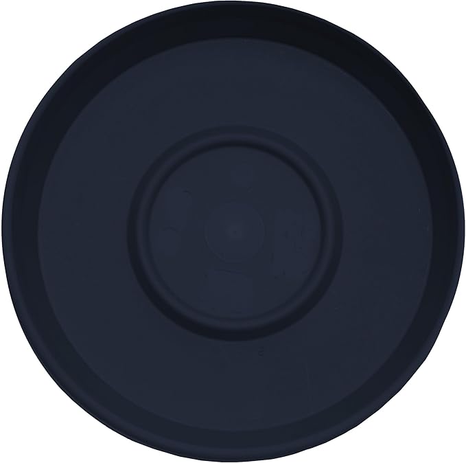 Bloem Terra Resin Saucer Tray: 8" Bottom Width - Image 3