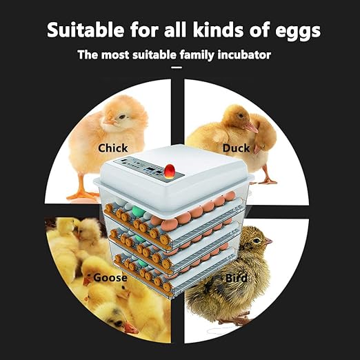 JAEDO Automatic Egg Incubator 150~180 Egg Incubator Digital Automatic Hatcher - Image 2
